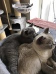 IMG-20181005-WA0007.jpg