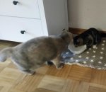 IMG-20181104-WA0016.jpg