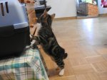 IMG-20181101-WA0010.jpg