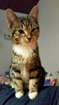 IMG-20181106-WA0014.jpg