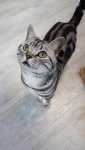 IMG-20181108-WA0013.jpeg