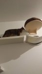IMG-20181117-WA0014.jpg IMG-20181117-WA0014.jpg