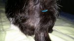 IMG-20181227-WA0001.jpg