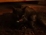 DSCN1038.JPG