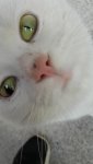 Screenshot_20190323-141031_Video Player.jpg