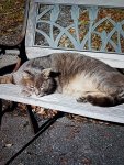 20190329_021159.jpg