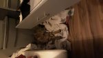 IMG-20190507-WA0009.jpg