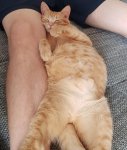 20190605_170758.jpg