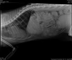 28684_SkofJennifer_Pablo_20111101_01_0000_0000.jpg