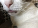 0064EE8E-482F-4835-8767-C581496F2F66.jpeg