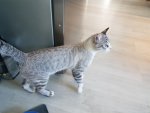 20190525_104958.jpg