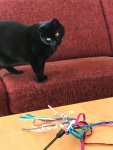 IMG-20180930-WA0000.jpg IMG-20180930-WA0000.jpg