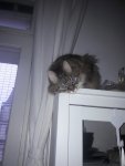 Fiona_Vitrine_2.jpg