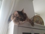 Fiona_Vitrine_6.jpg