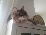 Fiona_Vitrine_7.jpg