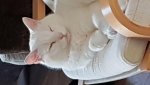 20180806_062502.jpg