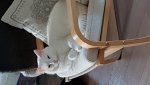 20180806_062247.jpg