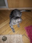 threema-20200202-010735-88283c326e3d73f7.jpg
