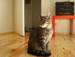 DSC03056.jpg