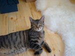DSC03071.jpg
