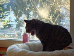 DSC03064.jpg
