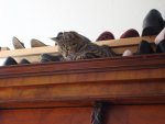 DSC03078.jpg