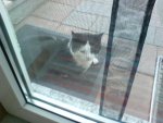 DSC00604.jpg