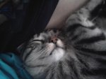 Liebe ist....jpg