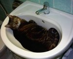 clep-waschbecken.jpg