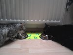 Foto0110.jpg