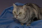 412009_Luna_4.jpg