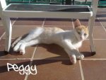 23052010098.jpg
