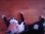 IMAG0041.jpg