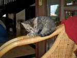 100_0718.jpg
