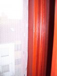 100_2876.jpg