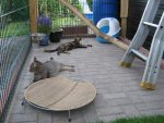 IMG_1607-1.JPG