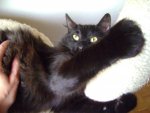 DSC05732.jpg