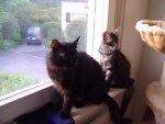 DSC05729.jpg
