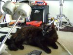 DSC05642.jpg