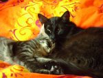 DSC05823.jpg