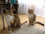 DSCF6955.JPG