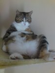 DSC00090.JPG