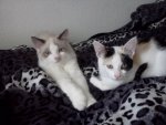 IMG20100904_024.jpg