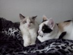 IMG20100904_022.jpg
