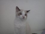 IMG20100828_003.jpg