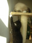 DSCN9181.jpg