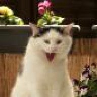Profender Katze Kaufen Ohne Rezept