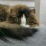 FrauFlauschig