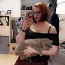 Softii_007