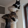 Joey und Dario